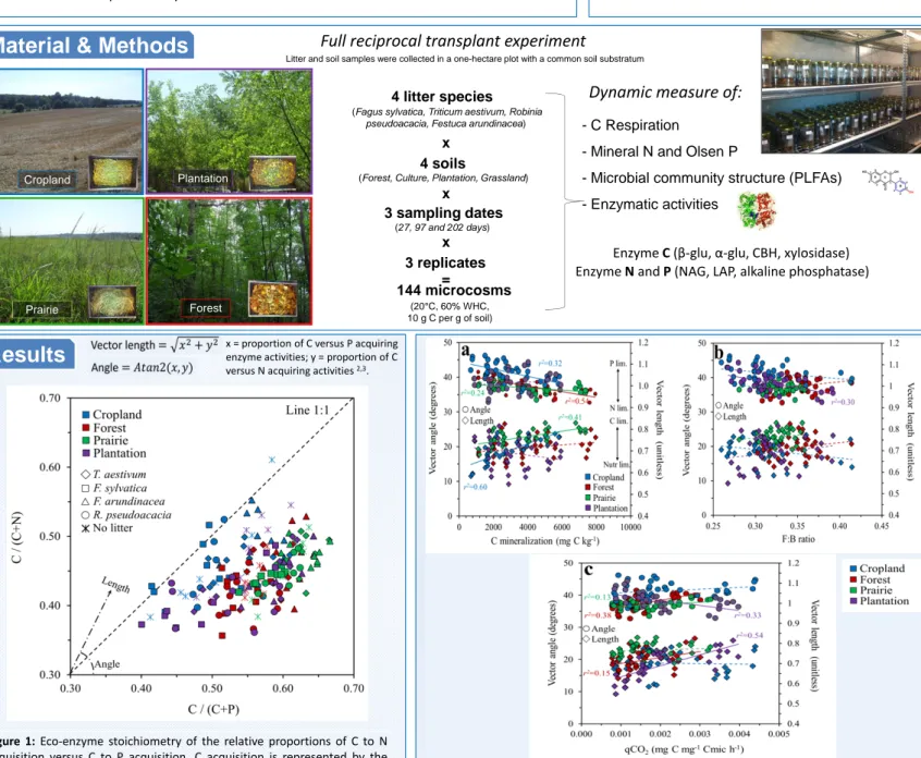 Figure 1: Eco‐enzyme stoichiometry of the relative proportions of C to N acquisition versus C to P acquisition