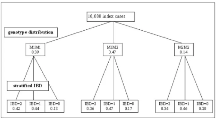 Figure 1 gives the genotype distribution of the 10,000 index cases for the marker M. The two alleles of M, M1 and M2, have a frequency of 0.56 and 0.44, respectively