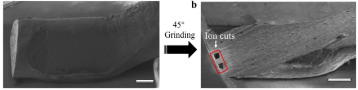 Fig. 4. (a) Bonding wire welded on the source metal of a power module. (b) The wire is cut and polished at 45° before being cut by FIB for  interface observation