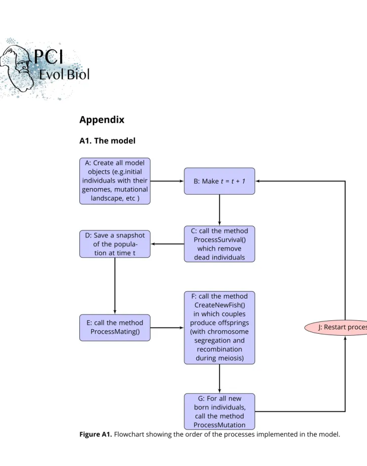 Figure A1. Flowchart showing the order of the processes implemented in the model.