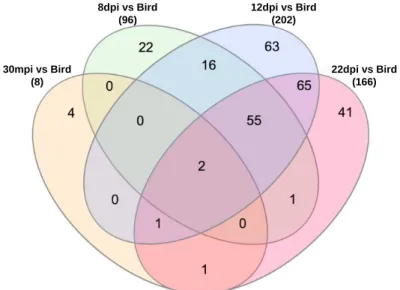 Figure 4: Venn diagram representing a crosswise comparison of upregulated genes in each of the 4 time points