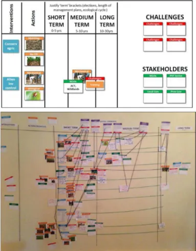 Figure  6: Strategy  framework  used in uThukela  final  stakeholder  workshop  (September  2013)  and  example of a strategy build for one of the zones  