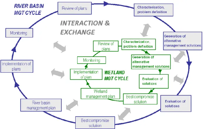 Figure 2-1:  The Concept of the WETwin project for the cyclic and integrated wetland and river  basin management 
