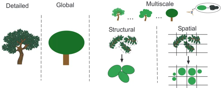 Fig. 1. Classification based on structural complexity: First, detailed representations are considered; then global representations which represent efficiently plants with few primitives and finally multiscale models with adaptive complexity
