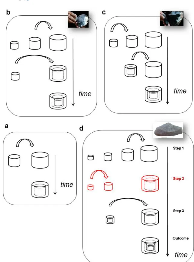 Figure 6. Cognitive strategies associated with a more or less complex set of actions (with their previous illustrations in  inserts)