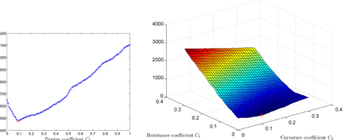 Figure 8: On the left, for each fixed value C 4 , we show for Spastin embryo 3 the minimum of the two dimensional function J(·, ·, C 4 ) in the interval [0, 0.3]×[0, 0.3], computed with constant step size 0.01