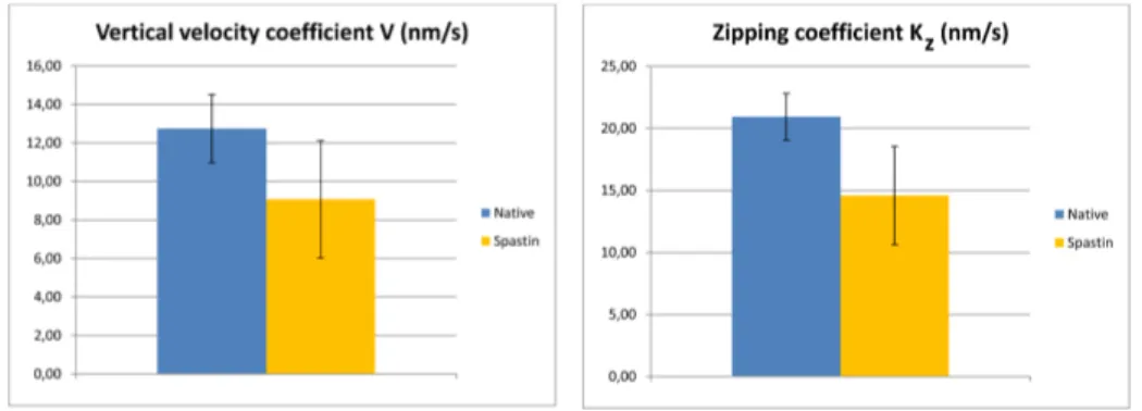 Figure 10: Average of the optimized height and zipping coefficients (in nm/s) of the model in Hutson et al