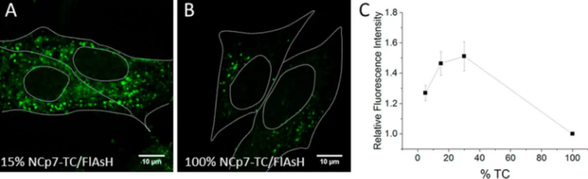 Figure 5.  Time-dependence of the fluorescence intensity of FlAsH-labeled pseudoviruses containing 100% 