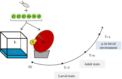 Figure  1:  summary  of  the  experimental  design  and  the  measured  traits.  T0: 