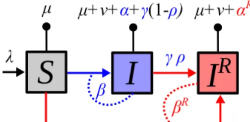 Figure 1. Epidemiological model flow diagram. Drug-resistant infections (in red) can originate from direct transmission or treatment failure in drug-sensitive infections (in blue).