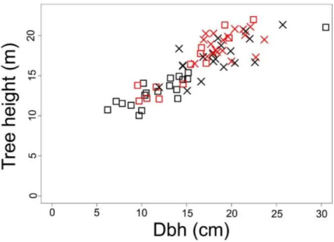 Figure S3. Tree heights (m) according to diameters at  breast height (cm). Red: ferralitic soils; black:  white-sand soils