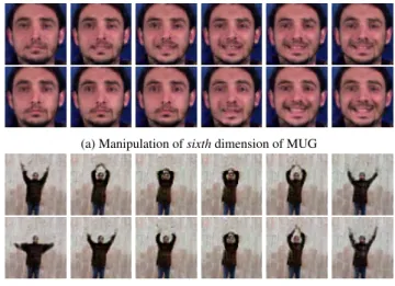 Figure 11: Addition of appearance representations. We add the appearance vectors of two samples (top rows of (a) and (b)), and obtain the sum-appearance in each bottom row
