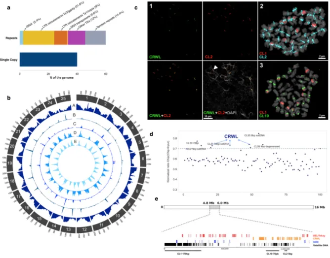 Figure 1. Overall characterization of repeated elements abundance in white lupin genome