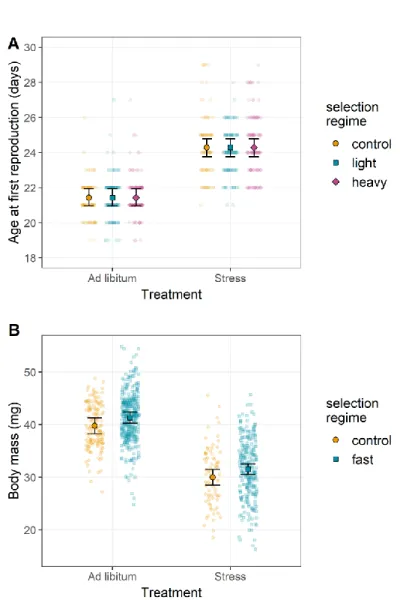 Figure 3: Reciprocal phenotypic responses to selection on female body mass and age at first reproduction