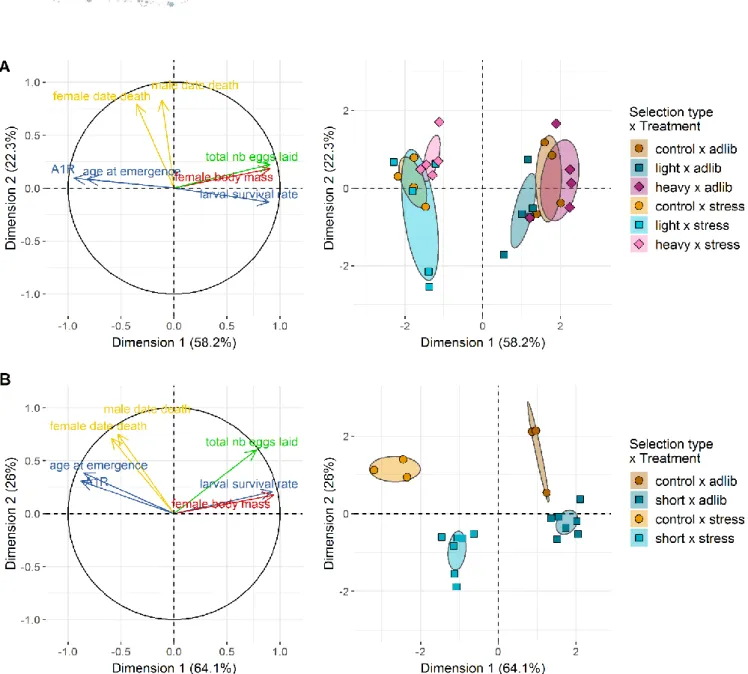 Figure 5: Organismal-level phenotypic responses to selection and diet. 