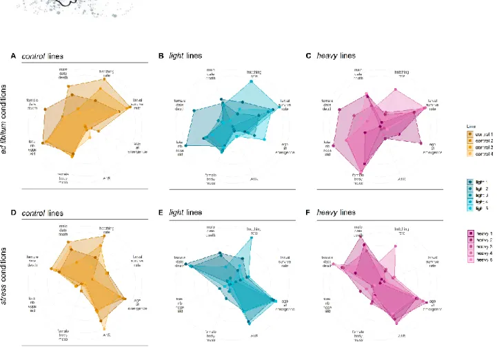 Figure 6: Multi-trait phenotypes of experimental lines of the female body mass selection scheme 