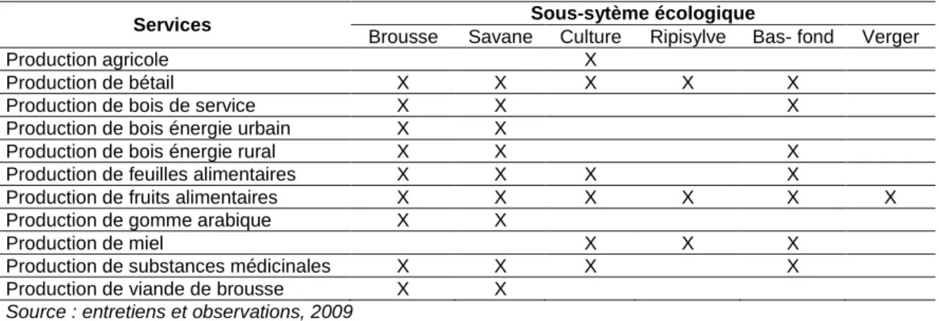 Tableau 2 : Liste des SE de Ñinpelima selon  la classification de Hein (2006)  