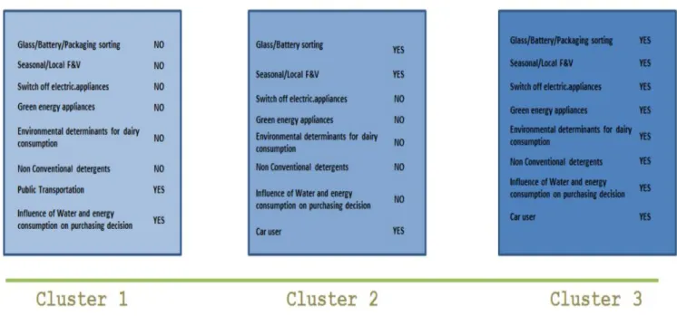 Figure 1: The three clusters of Sustainable consumption 