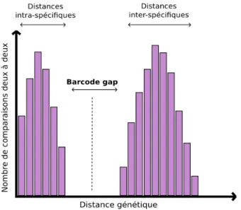 Figure 2.  Représentation  schématique  de  l’ Automatic  Barcode  Gap  Discovery  (ABGD)