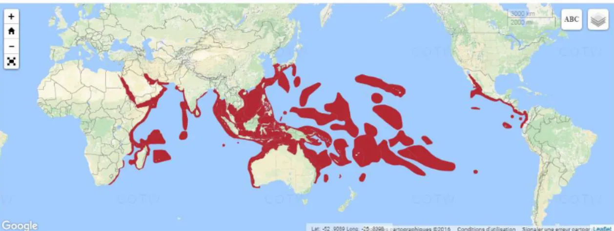 Figure 5 :  Carte  de  répartition  des  coraux  du  genre  Pocillopora.  Carte  extraite  du  site  Corals of the world : http://www.coralsoftheworld.org/ 