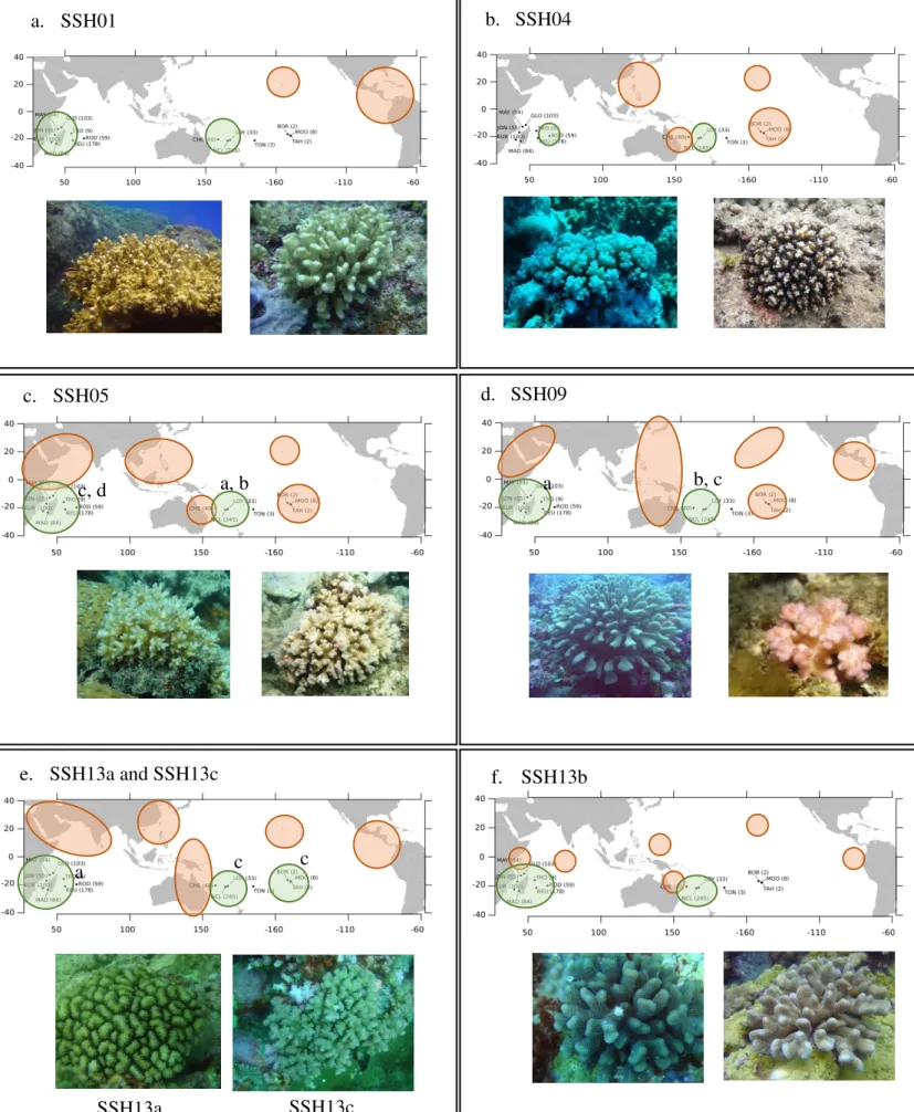 Fig. 3.  Geographical  distribution  of  six  secondary  species  hypotheses  (SSH):  a
