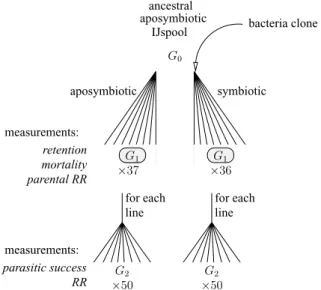 Figure 2. Experimental design and life-history traits of G 1 nema- nema-todes. RR, reproductive rate