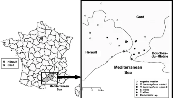 Fig. 1. Geographical distribution of sampled locations in Gard and He´rault and distribution of the diﬀerent nematode species.