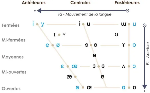 Figure 7. Représentation des voyelles sur deux  axes selon la  manière dont  elles sont produites, ici  l’aperture (ou degré d’ouverture) de la cavité orale, et le mouvement (ou position) de la langue dans  celle-ci