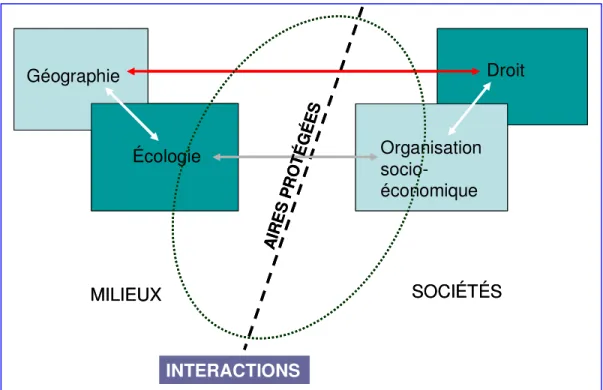 Figure 3 : Schéma simplifié des interactions entre milieux et sociétés  dans une aire protégée 