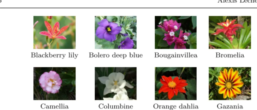 Fig. 6 Classification rate on Flower 102. Except for our proposition, results are reported from [16]