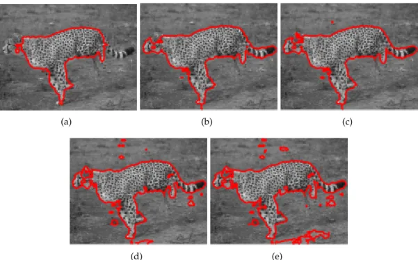Figure 8: Different segmentation results of the “Cheetah image” using the proposed frac- frac-tional entropy criterium: (a) α = 0.1, (b) α = 0.2, (c) α = 0.3