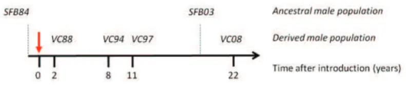 Figure 1 | Test for the evolution of the thermal niche in the derived  population. Sampling dates of the ancestral (San Francisco Bay, SFB, 1984,  2003) and derived populations (Vinh Chau, VC, 1988, 1994, 1997, 2008) are  provided  on  a  relative  time  s