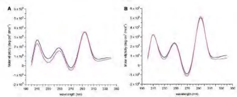 Figure 3-7 : Spectres dichroïques de l’aptamère TBA à 7µM dans du tampon Phosphate pH=7,1 et 100mM de sels, dans la  figure A (100mM de Na + ) et dans la figure B (100 mM K + )