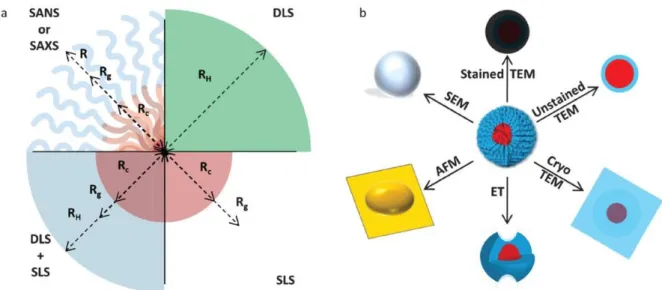 Figure 5 : a) Types de mesures pouvant être obtenues par différentes techniques de diffusion et b) types d’images d’une  micelle sphérique de polymères obtenues par différentes techniques de diffusion (extrait de  75 ) 