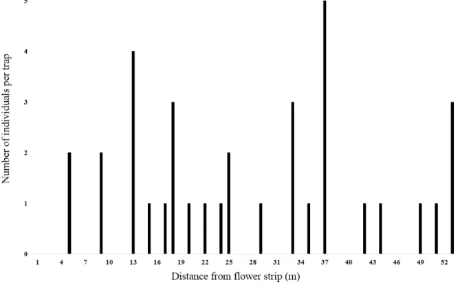 Figure 3. Number of ovalbumin marked predators at different distances from the wildflower  strips