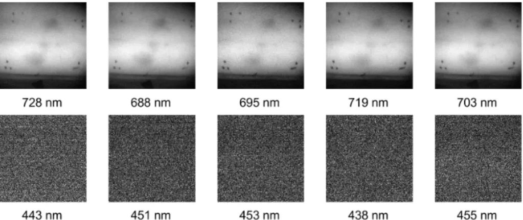 Figure 2. Top 5 bands contributing highest (top row) and least (bottom row) to the HSI information (best viewed in PDF).