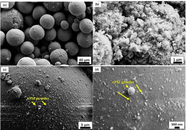 Fig. 3. Particle shape morphology of the starting powders: (a) Ti6Al4V, (b) nYSZ, (c), (d) Ti6Al4V + nYSZ powder blend.