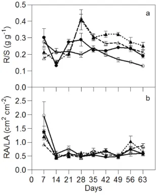 Fig. 3. Time  variation in root to shoot biomass ratio (R/S) and root to leaf area ratio (RA/LA) in  C.