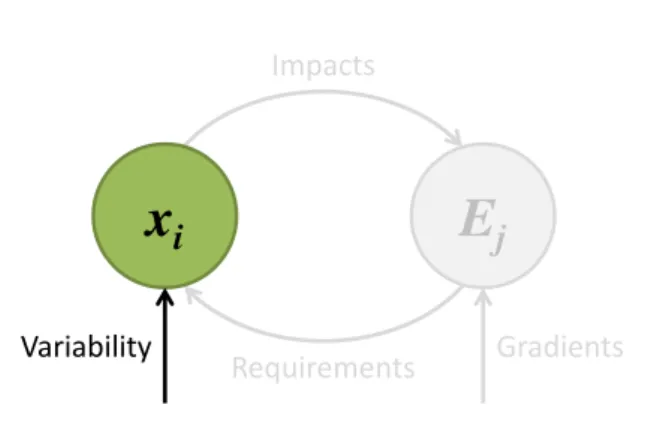 Figure 0.2: Focus on individual plant strategies, defined by their traits, and their variability.