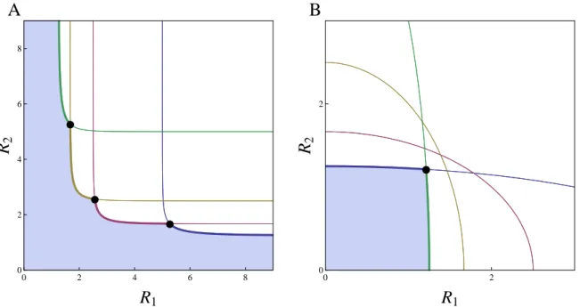 Figure 1.1: Invasion analysis for a set of 4 competing populations consuming two resources R 1