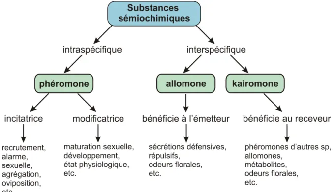 Figure 9 : Les différentes catégories de substances sémiochimiques 