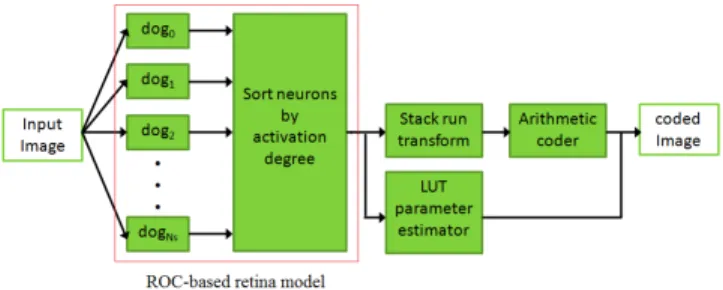 Fig. 1. Block Diagram of the compression scheme. First, a ROC based retina model. Second, the ROC code is zero-run length  en-coded by the stack run coder