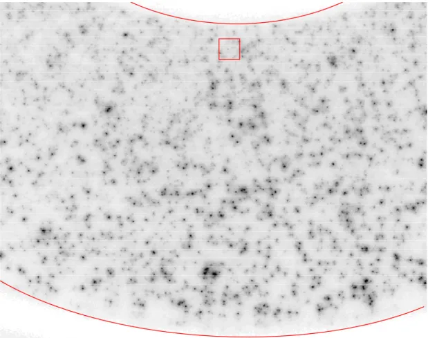 Figure 4: Typical image (inverted contrast) obtained 14 mm from the bottom of the geometry in a 40% suspension - Rotor and stator are fitted with two circles - Square: correlation window