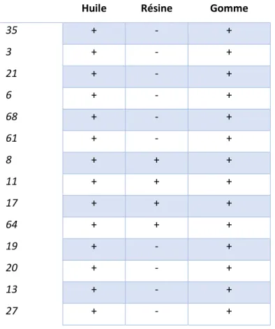 Tableau 12: Composition des échantillons du cluster 2, obtenues après interprétation individuelle et FSD, + : présence, - :  absence