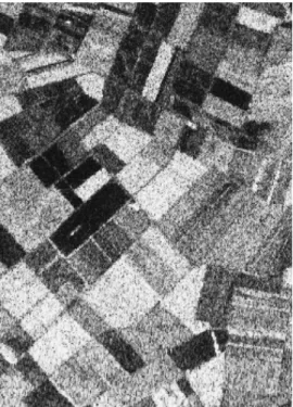 Fig. 2. “Feltwell-LHV” image employed for the experiments.