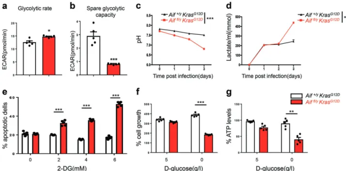 Fig. 3 AIF de ﬁ ciency enhances glycolysis and sensitivity to glucose deprivation. a, b ECAR in pneumocytes isolated from Aif +/y Kras G12D and Aif ﬂ/y Kras G12D mice 6 weeks after Ad5-CMV-Cre inhalation