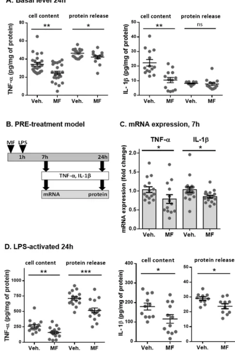 Figure 3: Anti-inflammatory effects of MF pre-treatment on the expression of TNF-α and IL-1β