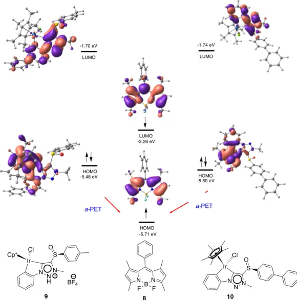 Figure 8. Orbital distribution and HOMO-LUMO energies of BODIPY  8, complex 9, and  complex 10