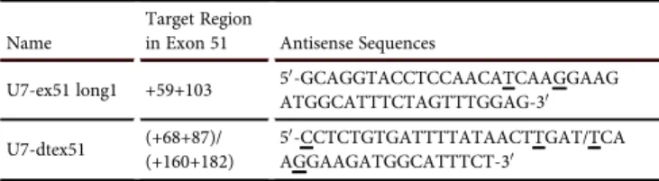Table 1. Antisense Sequences Inserted into U7snRNA Constructs Targeting the Human DMD Exon 51