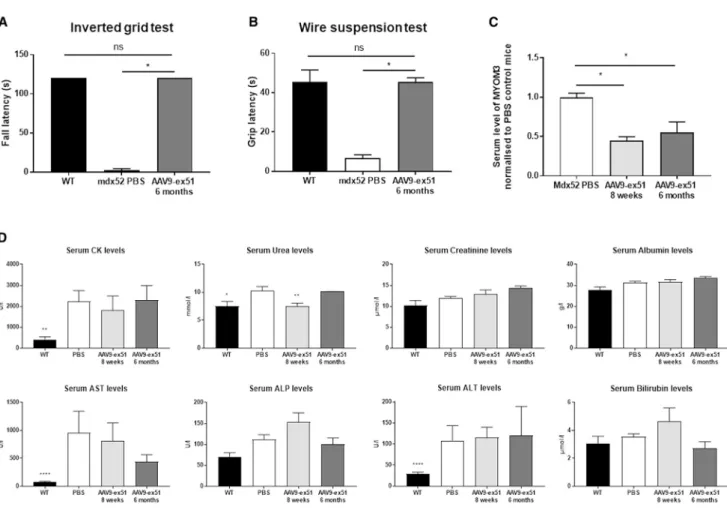 Figure 5. AAV9-Ex51 Induces Long-Term Functional Improvement